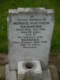 image of grave number 238334